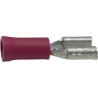 Cosse plate femelle rouge 6.35mm²