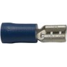 Cosse plate femelle bleue 6.35mm²