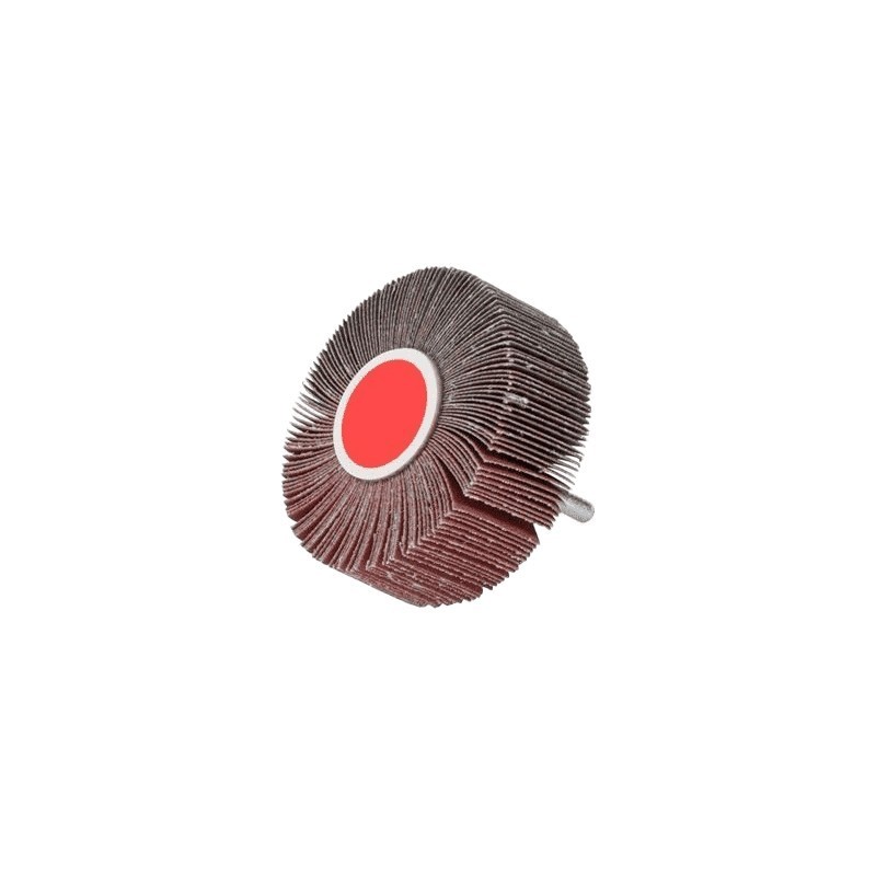 Roue abrasive à lamelles sur tige Ø60x30x6mm grain 120