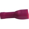 COSSE PLATE FEMELLE ROUGE ISOLEE 6,35