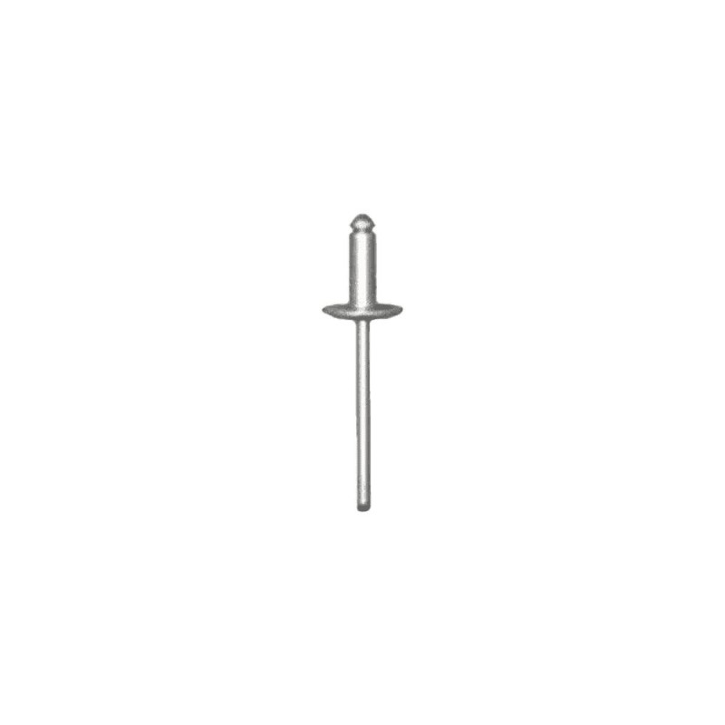 SACHET DE RIVETS 4303 4.8x16 TETE DE 14