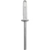 SACHET DE RIVETS 4521 4x18 TETE DE 8 BLANC