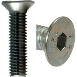 VIS METRIQUE FRAISEE ALLEN INOX M6x20