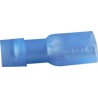 Cosse plate femelle bleue isolée étanche 6.35mm²
