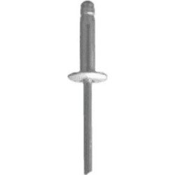 Boite de rivets 11421 renault 4.8x20