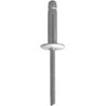 Boite de rivets 11421 renault 4.8x20