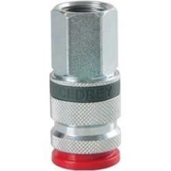 Coupleur rapide filete femelle 1/4" 521002" PASS 6mm