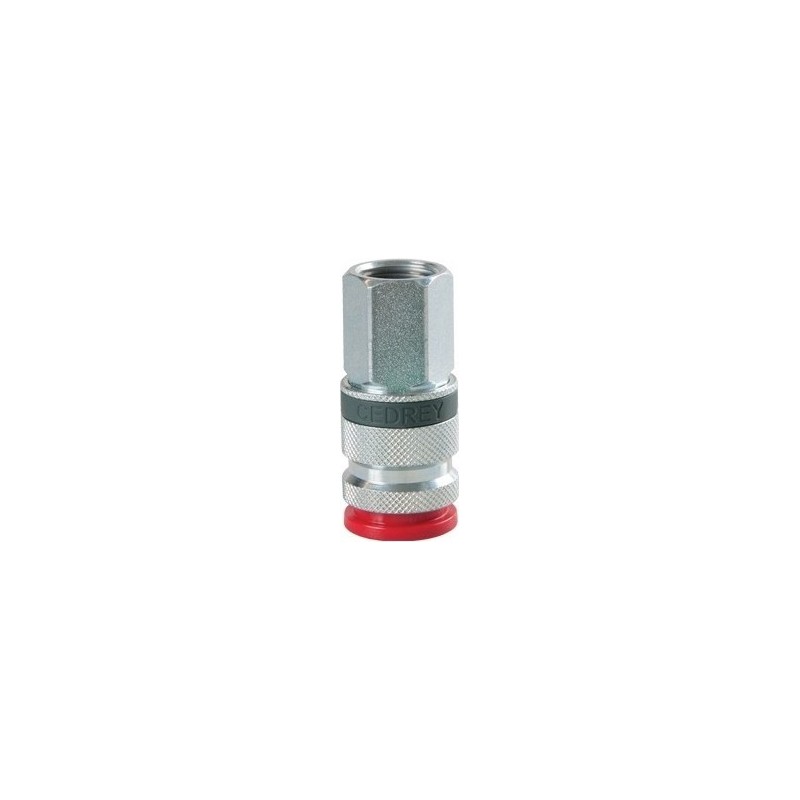 Coupleur rapide filete femelle 1/4" 521002" PASS 6mm