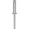 SACHET DE RIVETS 4703 4x16 TETE DE 12