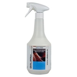 DIAL BRILL NETTOYANT RENOVATEUR PLASTIQUE BRILLANT PULVERISATEUR700ml
