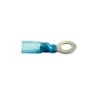 Cosse borne thermo rétractable bleue Ø8