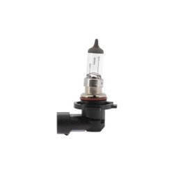 Ampoule H10 BOSMA