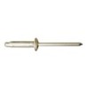 RIVET9973 Ø 4,8 X 22,5MM EP. 3 A 8,5MM PEUGEOT CITROEN