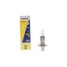 Ampoule HALO H1 NARVA