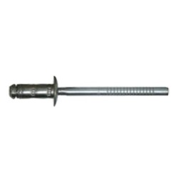 SACHET RIVETS11609 CLOU ET TIGE ACIER Ø4,8X11,5MM -EP. 1,5A6,35MM PSA