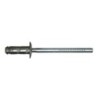 SACHET RIVETS11609 CLOU ET TIGE ACIER Ø4,8X11,5MM -EP. 1,5A6,35MM PSA