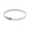 Collier de serrage bande 12mm 100x120