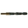 Foret S-POWER HSS Queue réduite à 13 mm Ø 19 mm