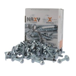 Boulon tête ronde bombée D603ZG B TRCC M10x30 TOTAL