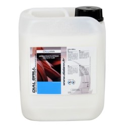 DIAL BRILL RENOVATEUR PLASTIQUE 5L