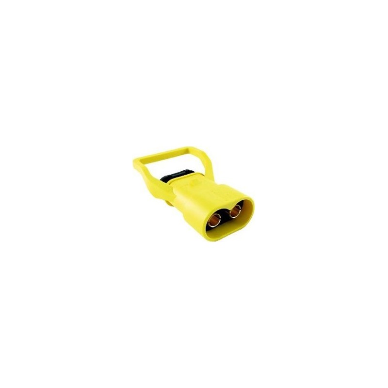 Socle pour fiche Type Y