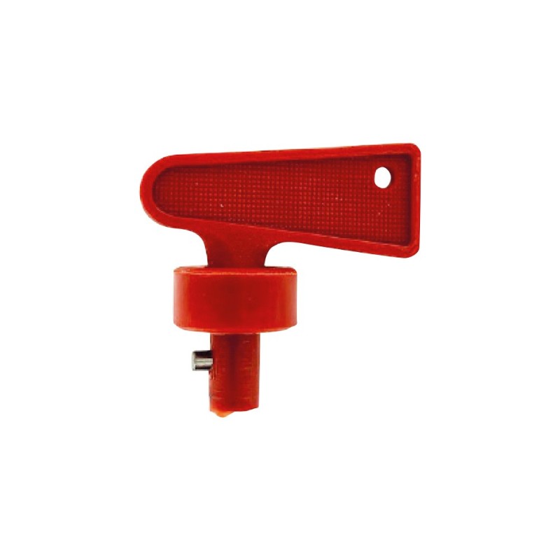 Clé de rechange pour coupe batterie 40200599