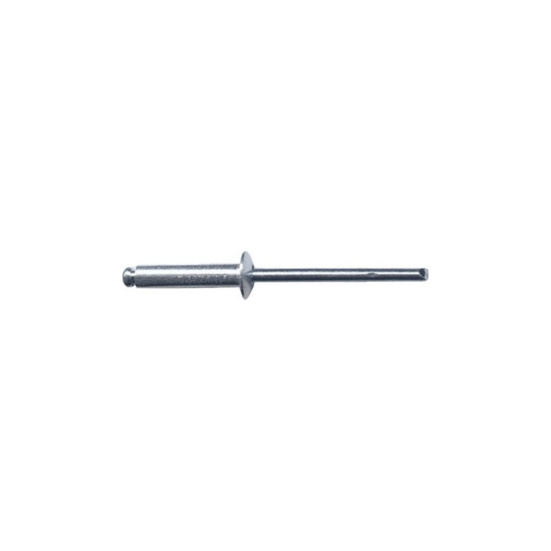 RIVET INOX INOX 4x12 TETE 8