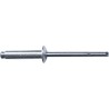 RIVET INOX INOX 4.8x12 TETE 14