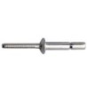 RIVET TETE PLATE MONOBOLT 6.4x19 BOITE DE 500