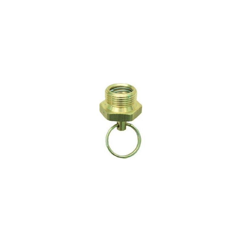 Purge de bouteille à anneau mâle M22x1.5 2021
