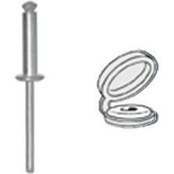 Rivets éclatés peints 04775