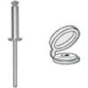 Rivets éclatés peints 04775