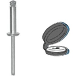 Rivets éclatés peints 04777