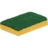 EPONGE GRATTANTE DOUBLE FACE 110x70x22mm
