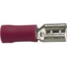 Cosse plate femelle rouge 4.8mm²