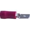 COSSE PLATE MALE ROUGE 4,8
